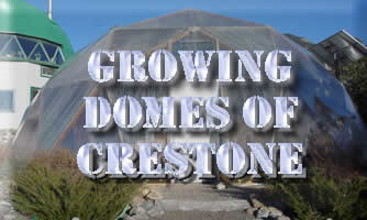 Growing Domes in Crestome